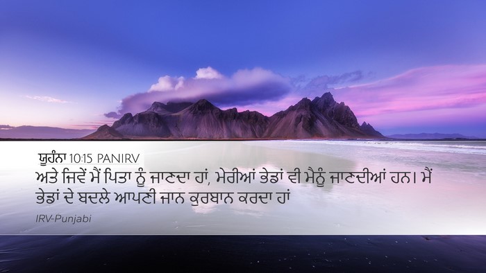 ਯੂਹੰਨਾ 10:15 PANIRV Bible Verse Image