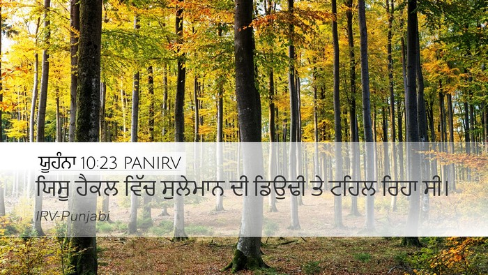 ਯੂਹੰਨਾ 10:23 PANIRV Bible Verse Image