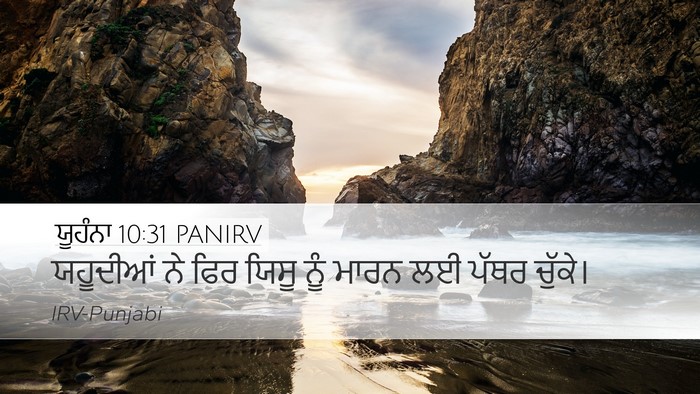 ਯੂਹੰਨਾ 10:31 PANIRV Bible Verse Image