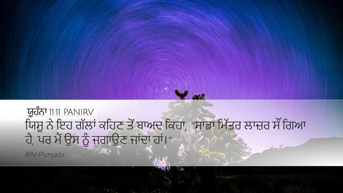 ਯੂਹੰਨਾ 11:11 PANIRV Bible Verse Image