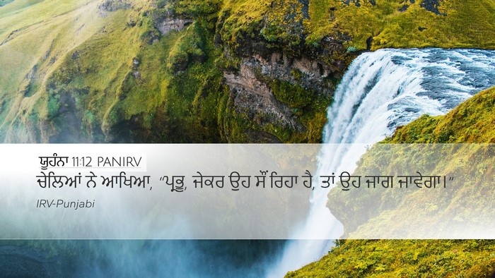 ਯੂਹੰਨਾ 11:12 PANIRV Desktop Wallpaper - ਚੇਲਿਆਂ ਨੇ ਆਖਿਆ, - Desktop Bible Verse Wallpaper