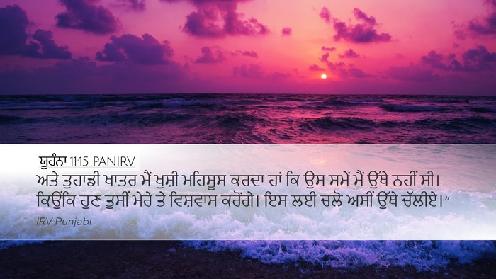 ਯੂਹੰਨਾ 11:15 PANIRV Bible Verse Image