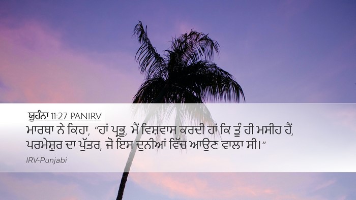 ਯੂਹੰਨਾ 11:27 PANIRV Bible Verse Image