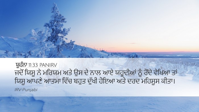 ਯੂਹੰਨਾ 11:33 PANIRV Bible Verse Image