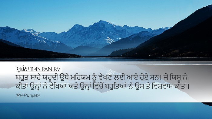 ਯੂਹੰਨਾ 11:45 PANIRV Bible Verse Image