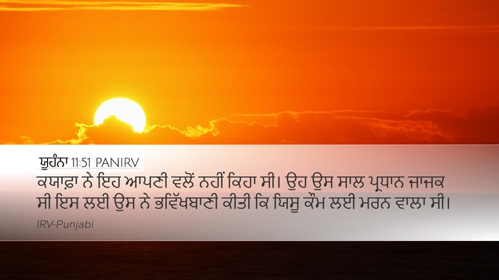 ਯੂਹੰਨਾ 11:51 PANIRV Bible Verse Image