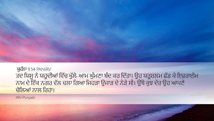 ਯੂਹੰਨਾ 11:54 PANIRV Bible Verse Image