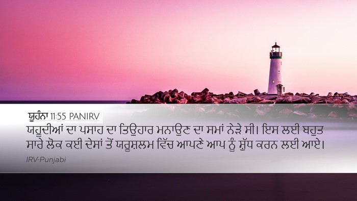 ਯੂਹੰਨਾ 11:55 PANIRV Bible Verse Image