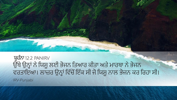 ਯੂਹੰਨਾ 12:2 PANIRV Bible Verse Image