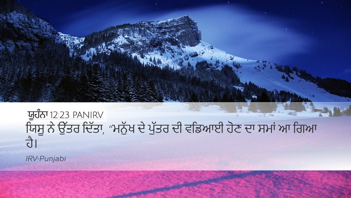 ਯੂਹੰਨਾ 12:23 PANIRV Bible Verse Image