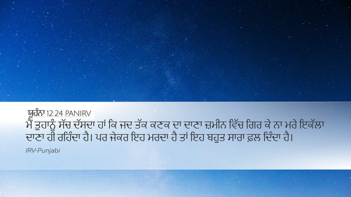 ਯੂਹੰਨਾ 12:24 PANIRV Bible Verse Image
