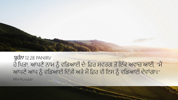 ਯੂਹੰਨਾ 12:28 PANIRV Bible Verse Image