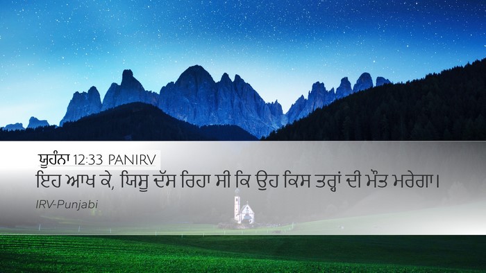ਯੂਹੰਨਾ 12:33 PANIRV Bible Verse Image