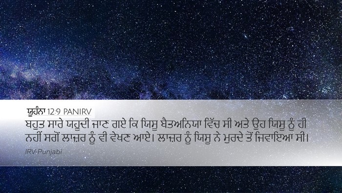 ਯੂਹੰਨਾ 12:9 PANIRV Bible Verse Image