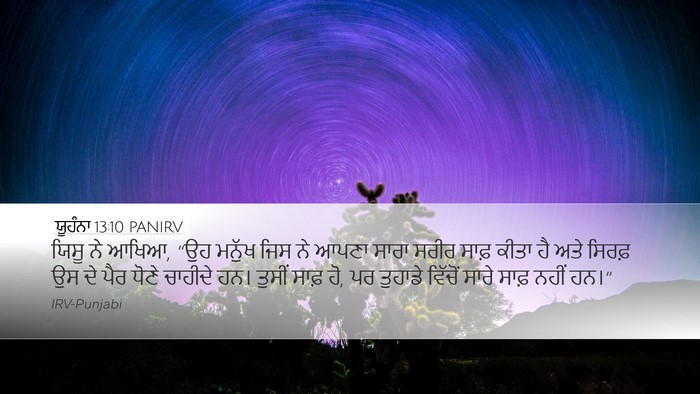 ਯੂਹੰਨਾ 13:10 PANIRV Bible Verse Image