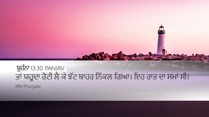 ਯੂਹੰਨਾ 13:30 PANIRV Bible Verse Image