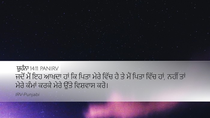 ਯੂਹੰਨਾ 14:11 PANIRV Bible Verse Image