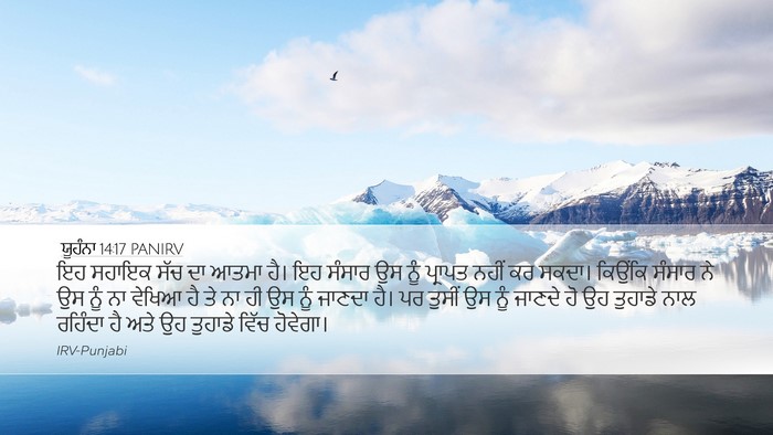 ਯੂਹੰਨਾ 14:17 PANIRV Bible Verse Image