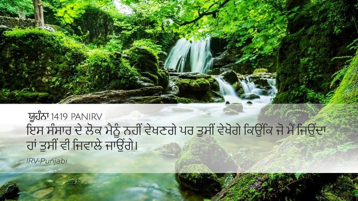 ਯੂਹੰਨਾ 14:19 PANIRV Bible Verse Image