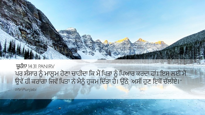 ਯੂਹੰਨਾ 14:31 PANIRV Bible Verse Image