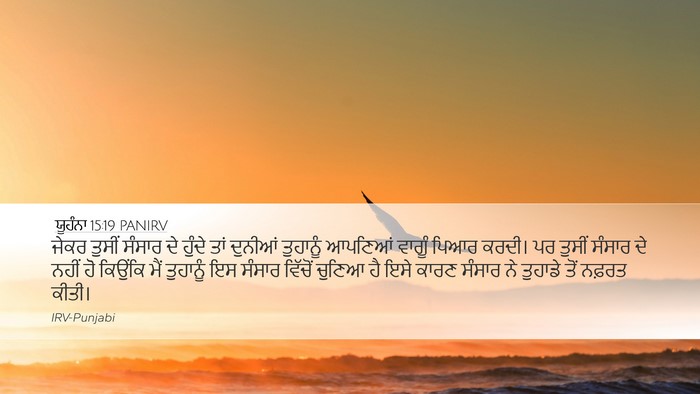 ਯੂਹੰਨਾ 15:19 PANIRV Bible Verse Image