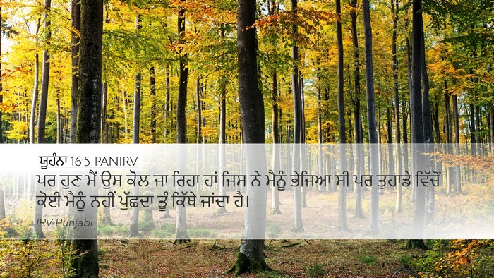 ਯੂਹੰਨਾ 16:5 PANIRV Bible Verse Image