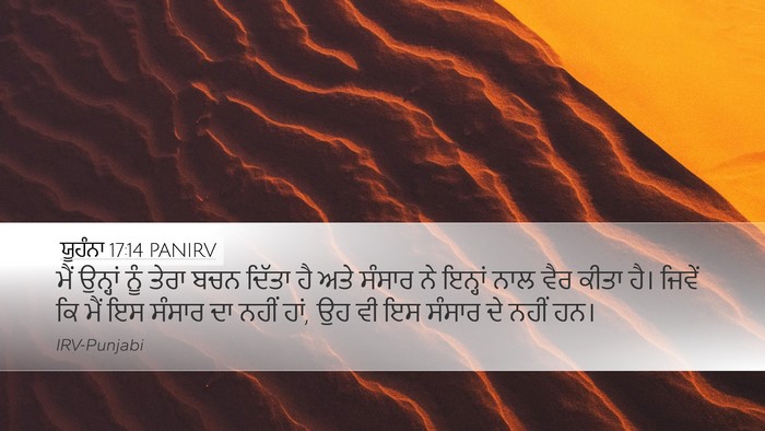 ਯੂਹੰਨਾ 17:14 PANIRV Bible Verse Image