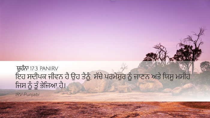 ਯੂਹੰਨਾ 17:3 PANIRV Bible Verse Image