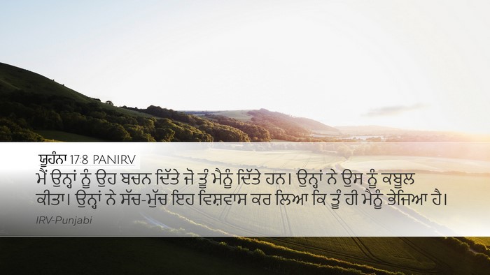 ਯੂਹੰਨਾ 17:8 PANIRV Bible Verse Image