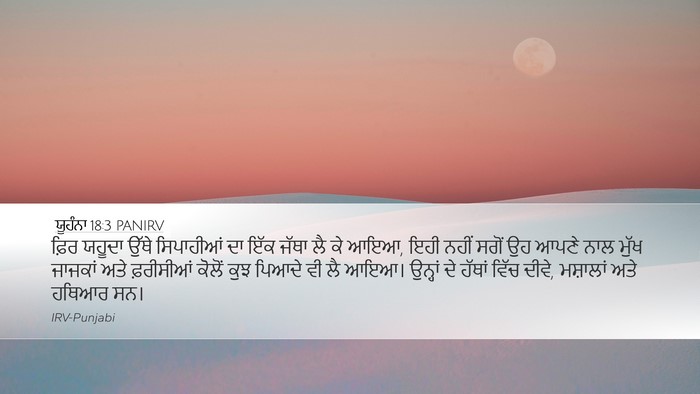 ਯੂਹੰਨਾ 18:3 PANIRV Bible Verse Image