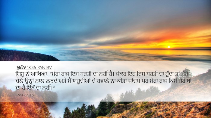 ਯੂਹੰਨਾ 18:36 PANIRV Bible Verse Image