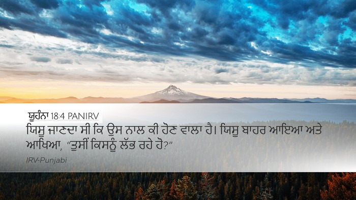 ਯੂਹੰਨਾ 18:4 PANIRV Bible Verse Image