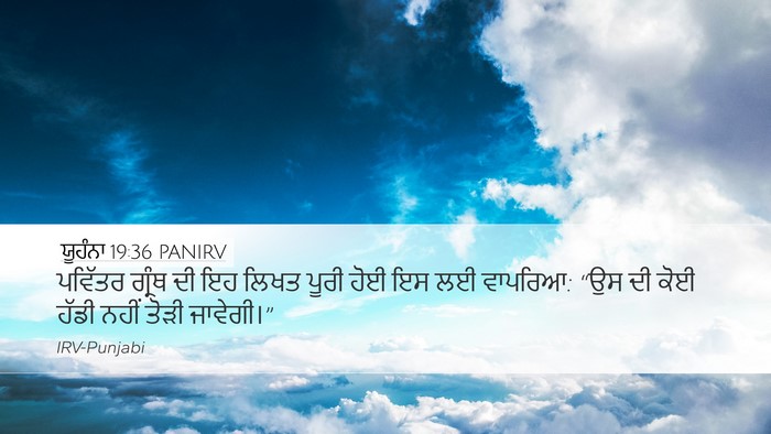ਯੂਹੰਨਾ 19:36 PANIRV Bible Verse Image