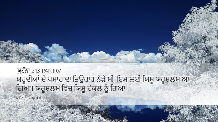 ਯੂਹੰਨਾ 2:13 PANIRV Bible Verse Image