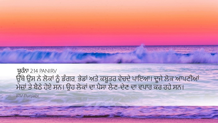 ਯੂਹੰਨਾ 2:14 PANIRV Bible Verse Image
