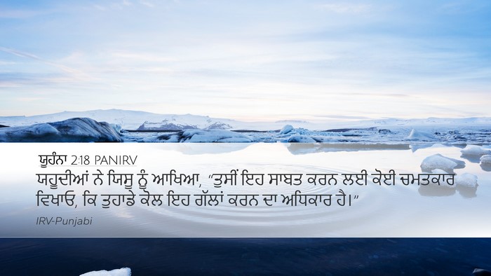ਯੂਹੰਨਾ 2:18 PANIRV Bible Verse Image