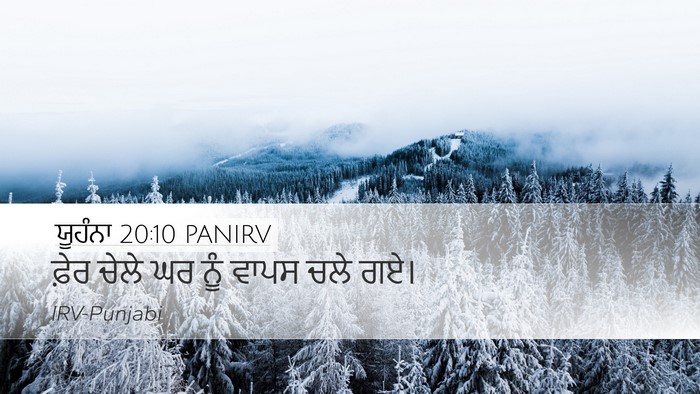 ਯੂਹੰਨਾ 20:10 PANIRV Desktop Wallpaper - ਫ਼ੇਰ ਚੇਲੇ ਘਰ ਨੂੰ - Desktop Bible Verse Wallpaper
