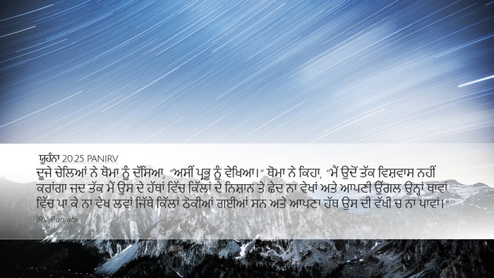 ਯੂਹੰਨਾ 20:25 PANIRV Bible Verse Image
