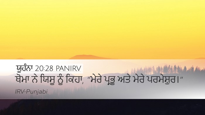 ਯੂਹੰਨਾ 20:28 PANIRV Bible Verse Image