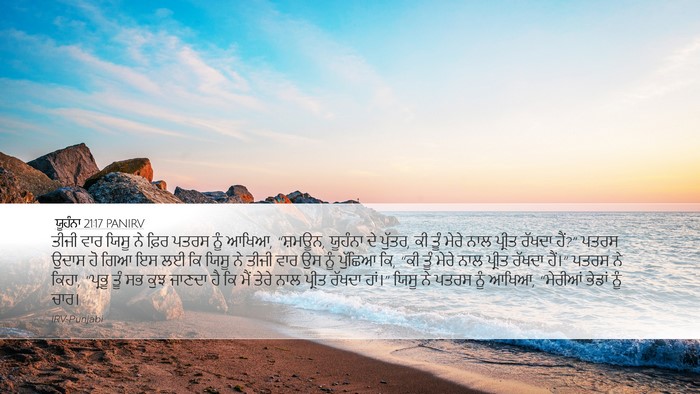 ਯੂਹੰਨਾ 21:17 PANIRV Bible Verse Image