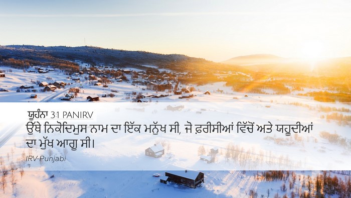 ਯੂਹੰਨਾ 3:1 PANIRV Bible Verse Image
