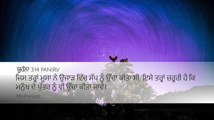 ਯੂਹੰਨਾ 3:14 PANIRV Bible Verse Image