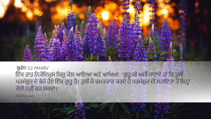 ਯੂਹੰਨਾ 3:2 PANIRV Bible Verse Image