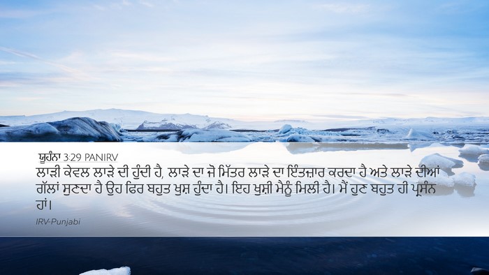 ਯੂਹੰਨਾ 3:29 PANIRV Bible Verse Image