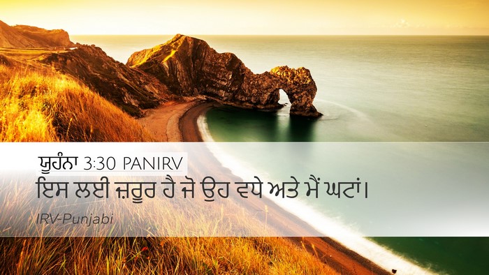 ਯੂਹੰਨਾ 3:30 PANIRV Bible Verse Image