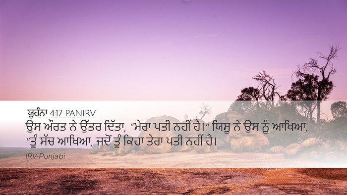 ਯੂਹੰਨਾ 4:17 PANIRV Bible Verse Image