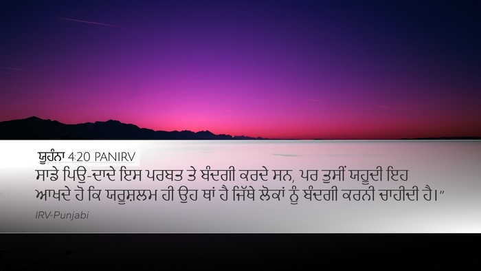 ਯੂਹੰਨਾ 4:20 PANIRV Bible Verse Image