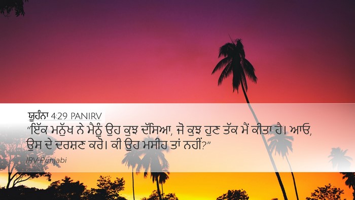 ਯੂਹੰਨਾ 4:29 PANIRV Bible Verse Image
