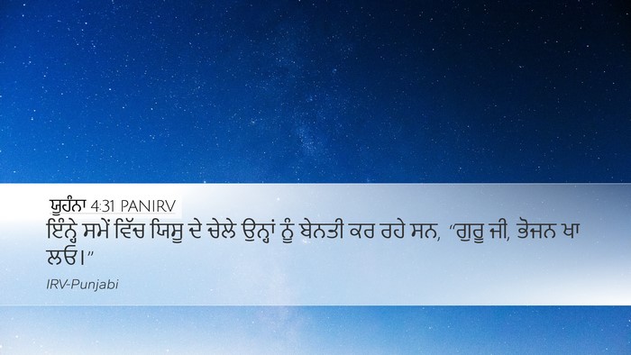 ਯੂਹੰਨਾ 4:31 PANIRV Bible Verse Image