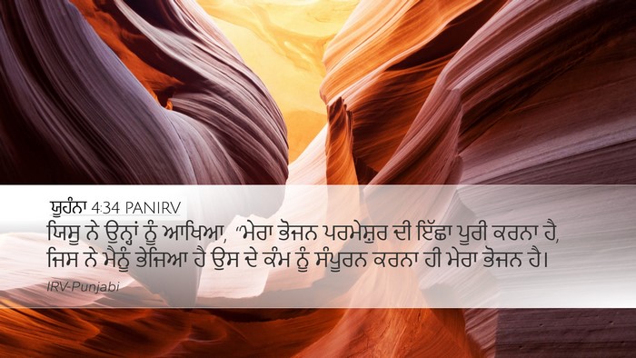 ਯੂਹੰਨਾ 4:34 PANIRV Bible Verse Image